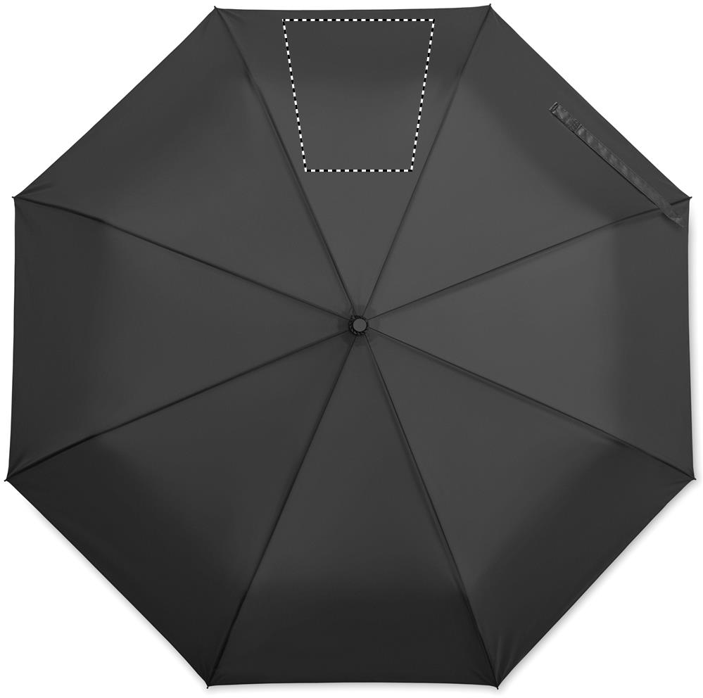 Segment 3 (21 x 21 cm)