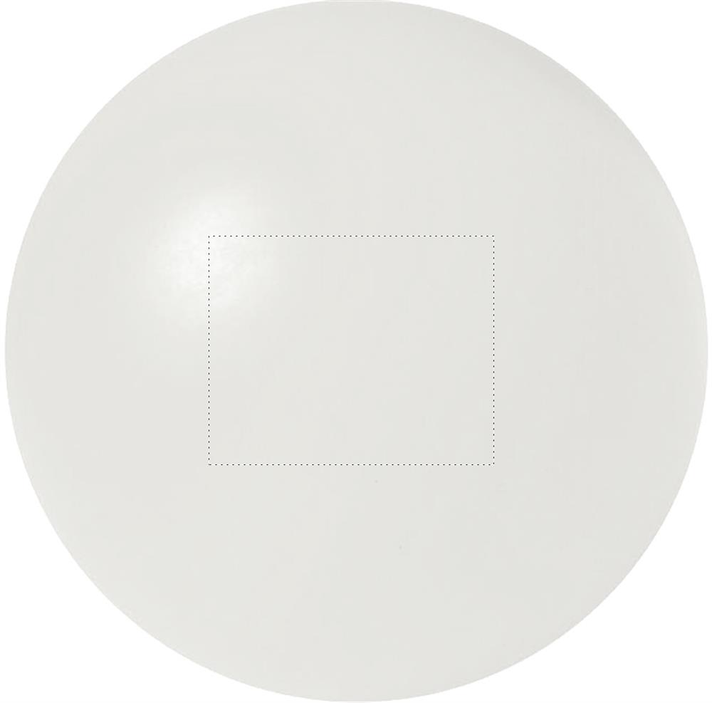 Achterzijde (2 x 2,5 cm)