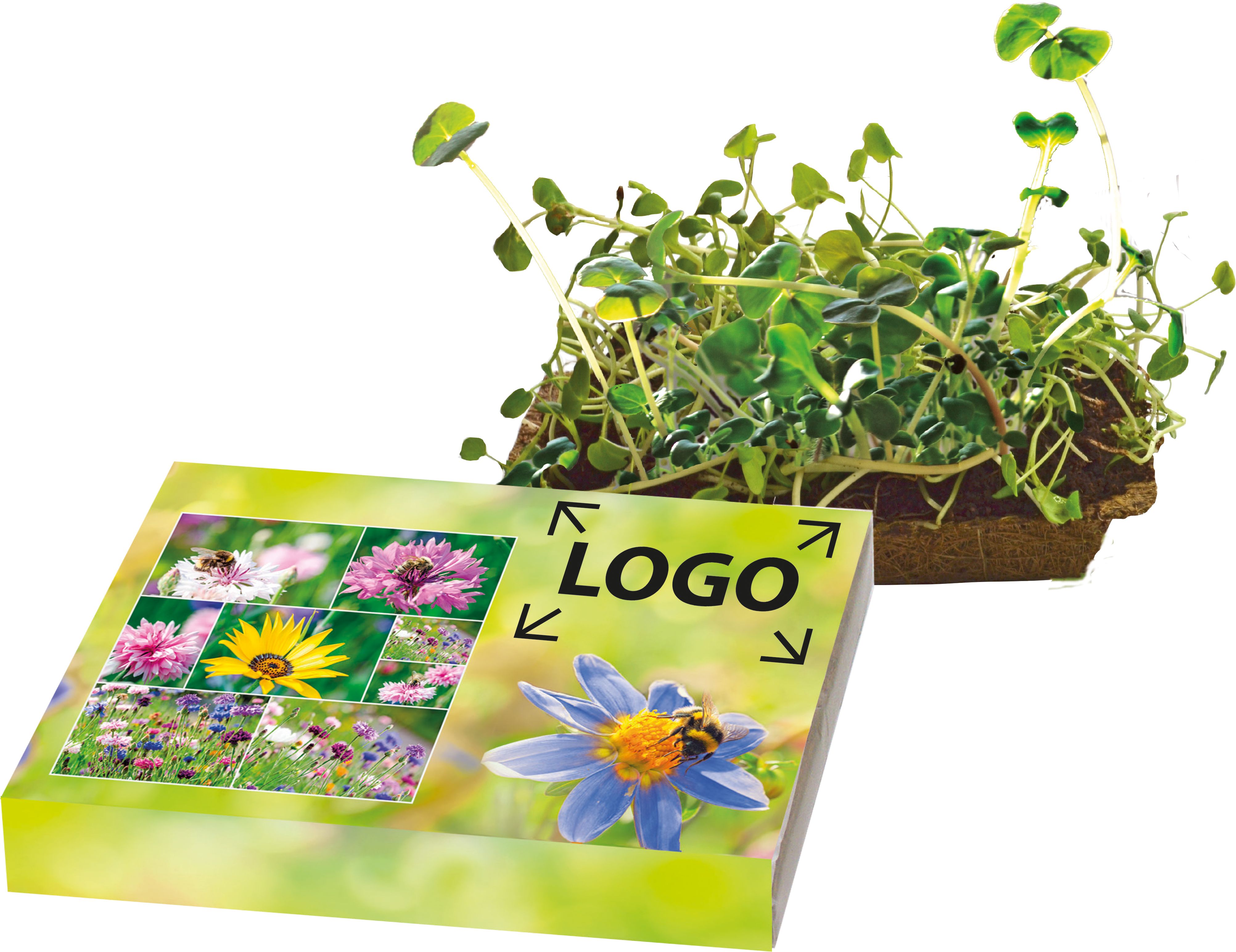 op de hoes (21,0 x 12,3 cm)