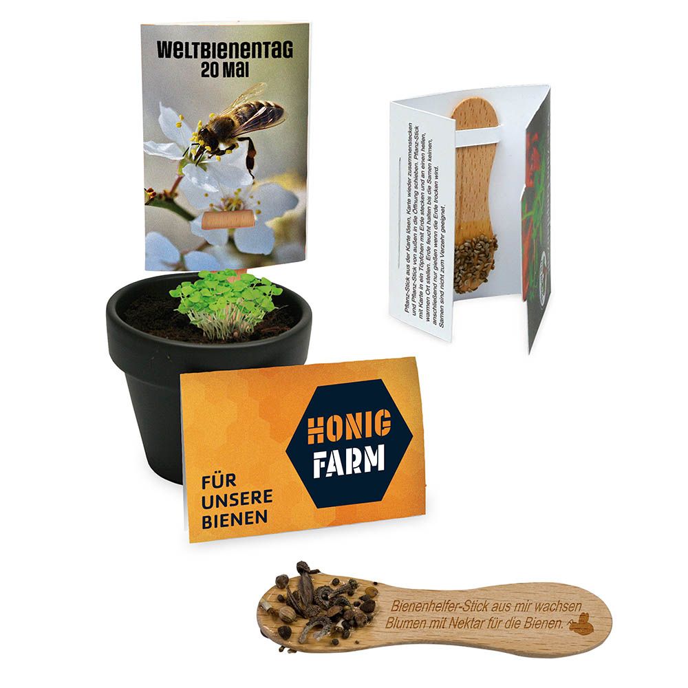 Verpakking (Karte 13,8 x 8,0 cm, Lasergravur 0,8 x 2,0 cm)