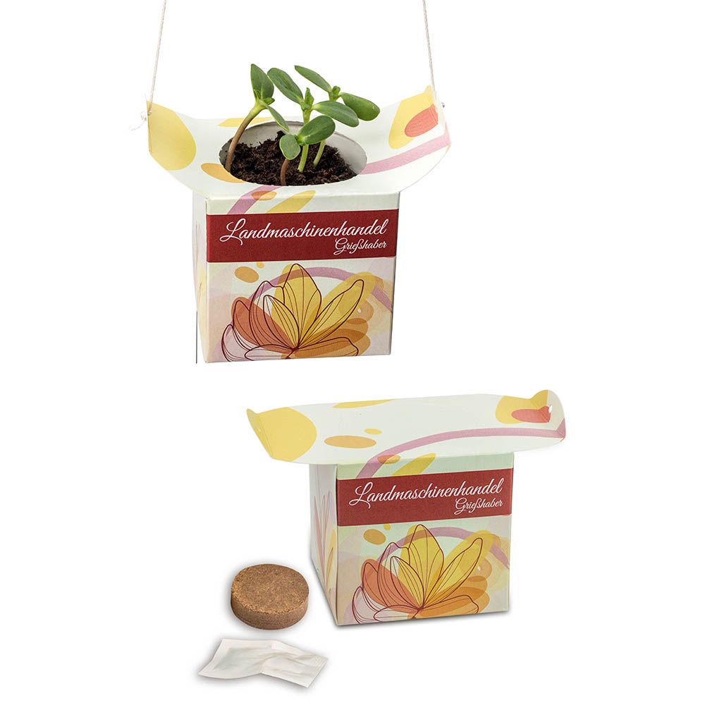 Box (5 Flächen á 6,2 x 6,2 x 6,2 cm)