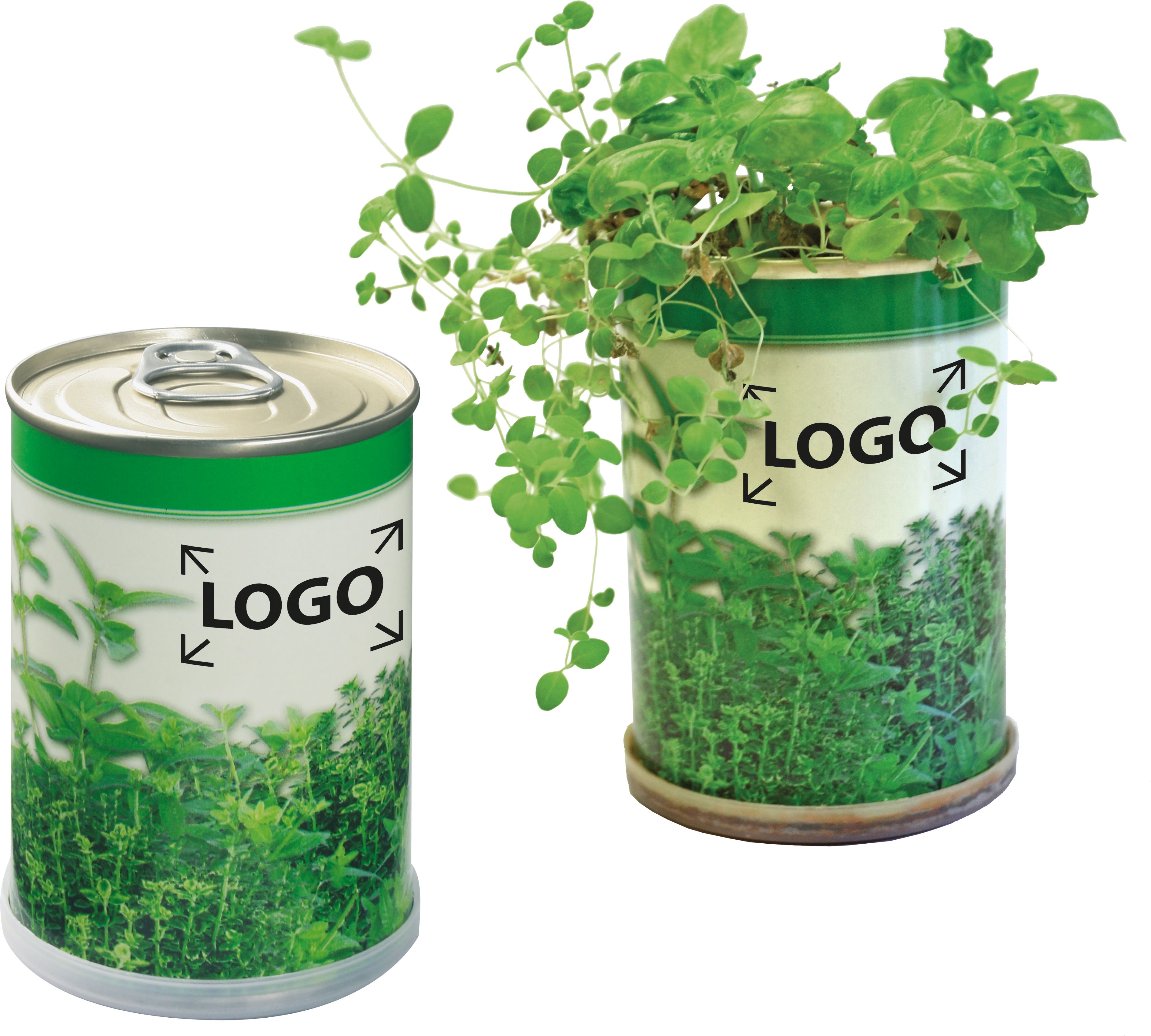 op het blik (2,5 x 3,0 cm)