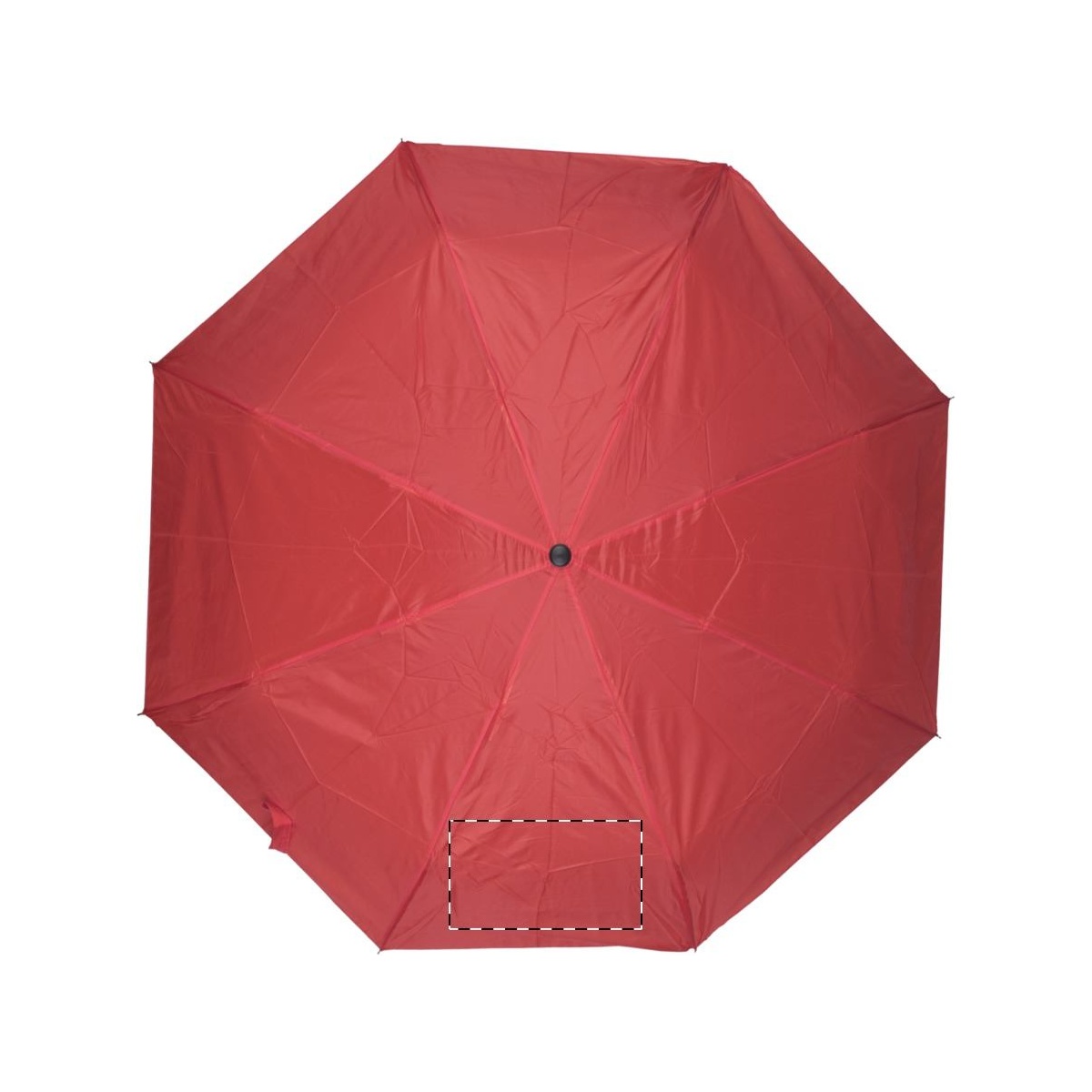 Segment 2 (20 x 10 cm)