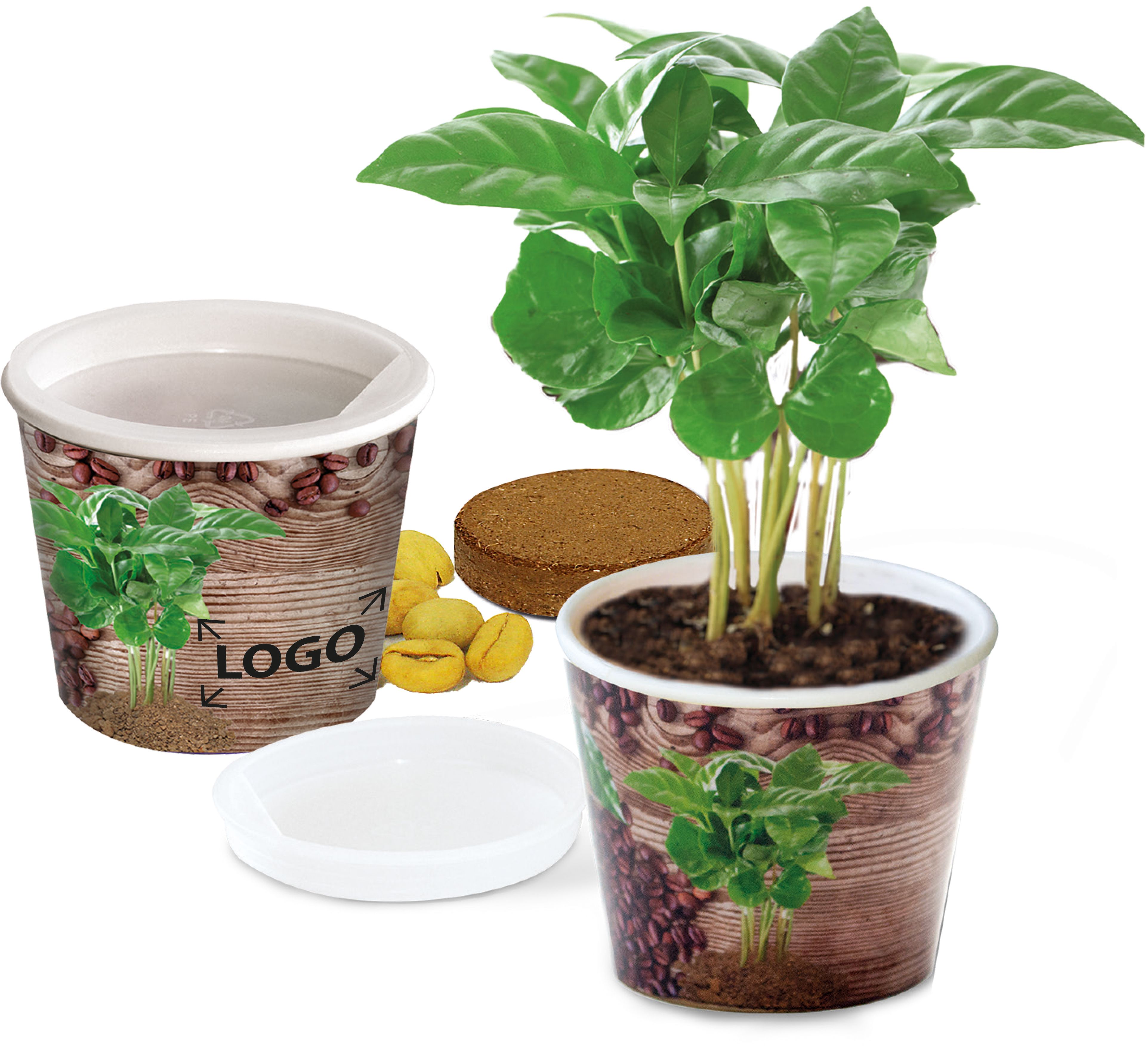 op de banderol (17,0 x 4,5 cm)