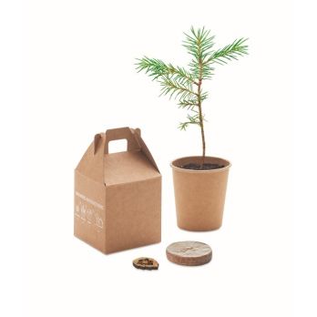 GROWTREE™ Dennenzaden Set