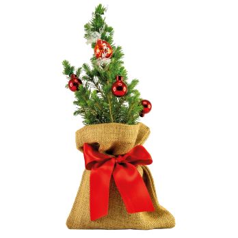 Lichtbal boom 20-30 cm 