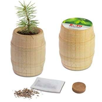 Plant vat met zaden