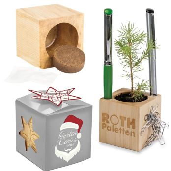 Plantenhouder van hout office Star-Box Xmas met sparrenzaden