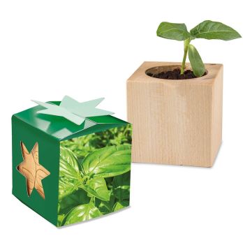 Plantenhouder van hout star-box met zaden