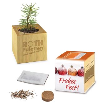 Bloempot hout Xmas met sparrenzaden, 1 zijde lasergravure