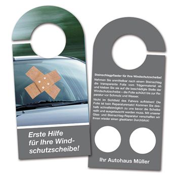 Steenslagpleister-autospiegelhanger