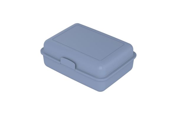 Bio-Vorratsdose "School-Box" groß, blau