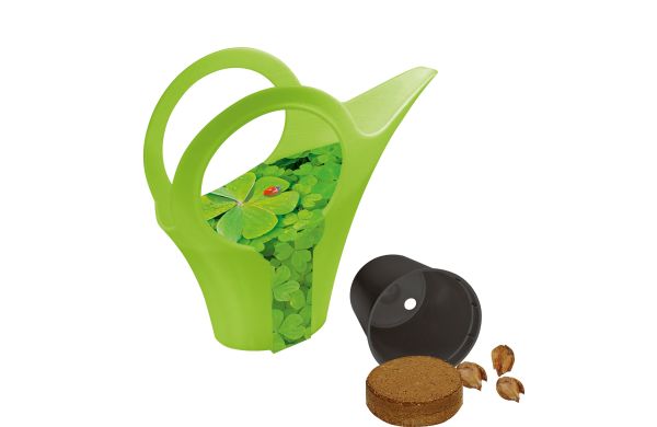 Camilla XS Glück, Glückskleezwiebelchen