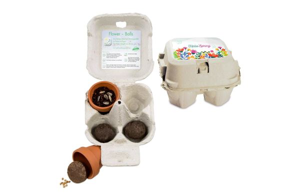 Het groen van het ei - groene mixdoos, zonnebloem