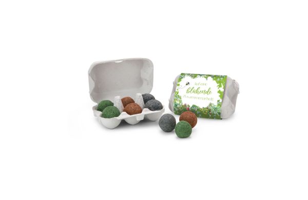 Geschenkartikel: Bienenweide in eierdoos met 6 zaadbommen