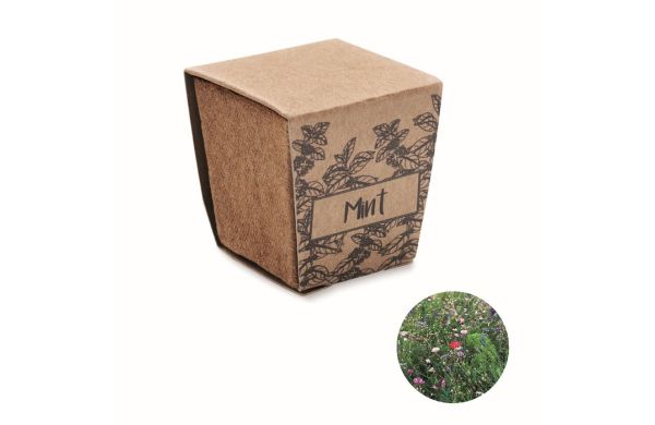 MINT KIT Pflanz-Set Minze, beige