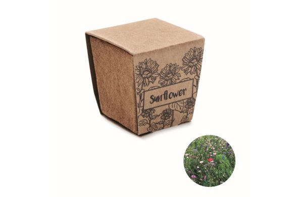 SUNFLOWER KIT Pflanz-Set Sonnenblume, beige