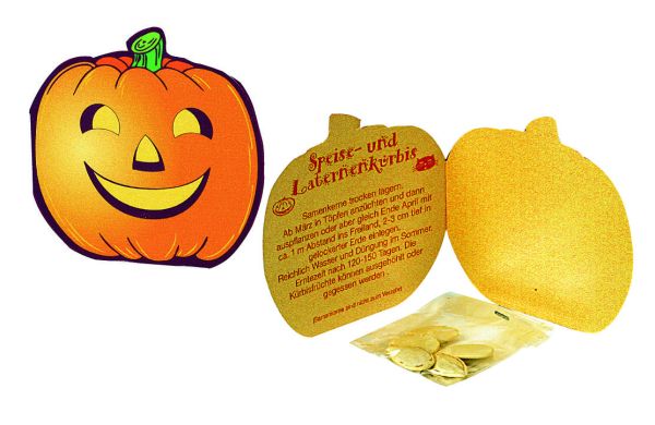 Klappkärtchen Halloween, Kürbis