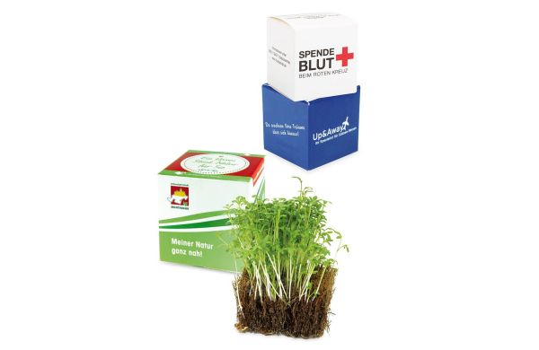 Kokosnootblokje met zaden