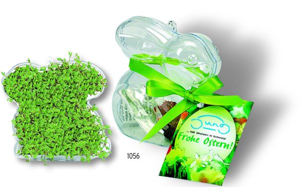 Kresse-Hase Frohe Ostern, Kresse