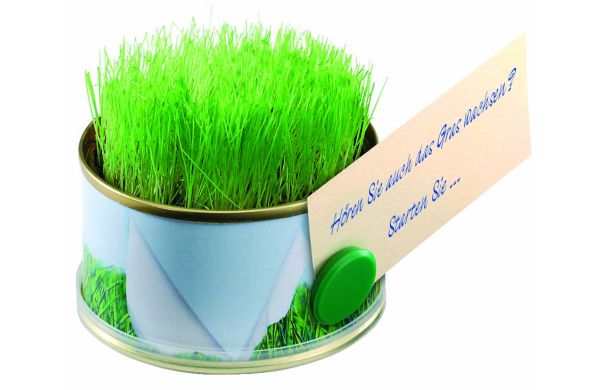 Minigarten Gras mit Magnet, Durchmesser  73 x 38 mm, Zimmerrasen