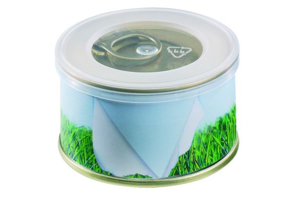 Minigarten Gras ohne Magnet, Durchmesser  73 x 38 mm