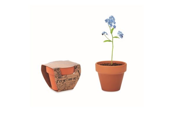 FORGET ME NOT Terracotta-Topf Vergissmeinnich - holzfarben