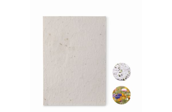 ASIDE DIN A5 Wildblumen-Samenpapier - weiß