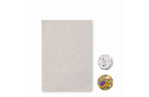 ASIDO DIN A6 Wildblumen-Samenpapier - weiß
