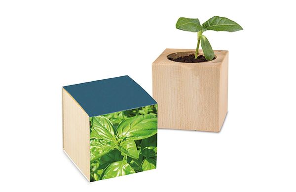 Houten pot met zaden