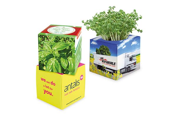 Plantenkubus 2.0 met zaden
