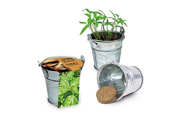 Plant emmer met zaden