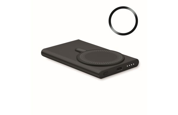PAWTT Powerbank mit Ladestation 15W, schwarz