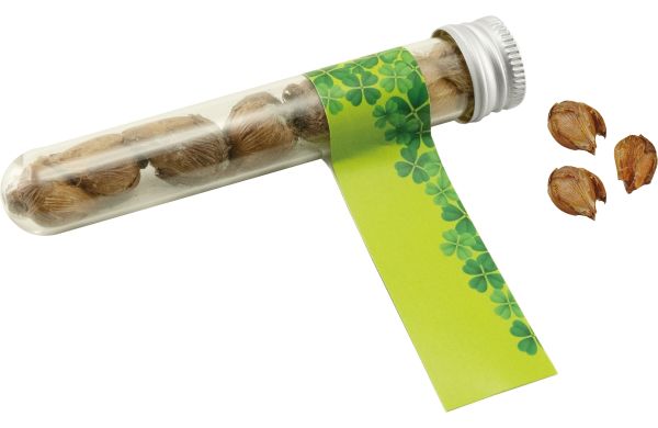 Reagenzglas Viel Glück, Glückskleezwiebelchen