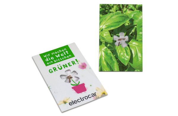 Zaadkaart-Mini Bloemen