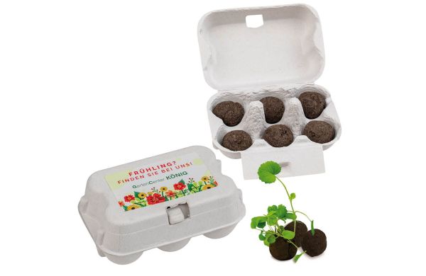 Sixpack - Flower-Ball Midi met zaden