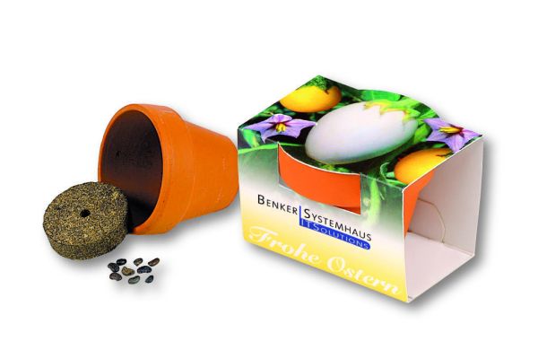 Tontöpfchen Frohe Ostern, Eierbaumsamen