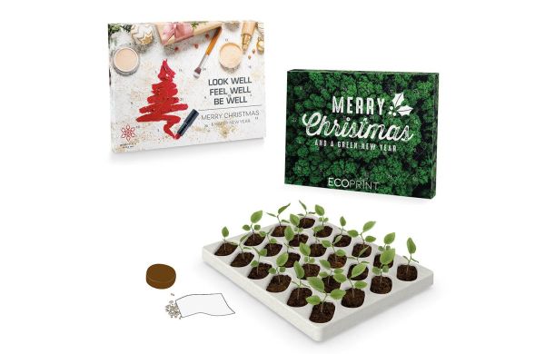 Groeiende adventskalender