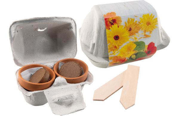 Wachstumsduett Essbare Blüten, Kapuzinerkresse, Ringelblume