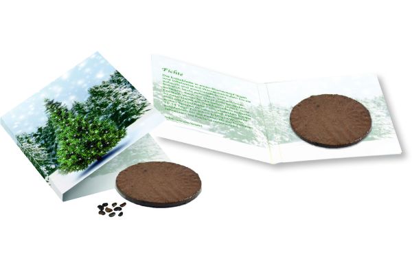 Wachstumskärtchen Weihnachtsbaum, Fichte