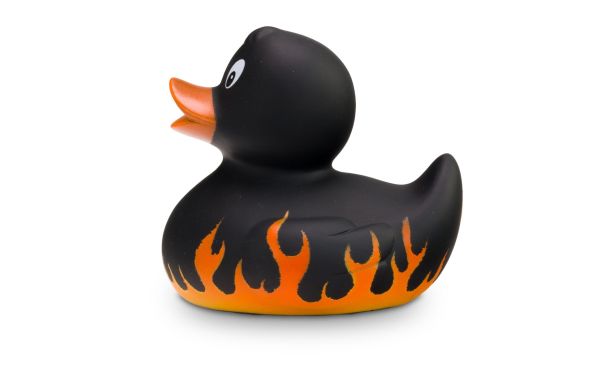 Reclameeend Frank Vlam