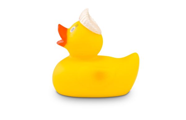 Reclameeend Koningin Kwaak