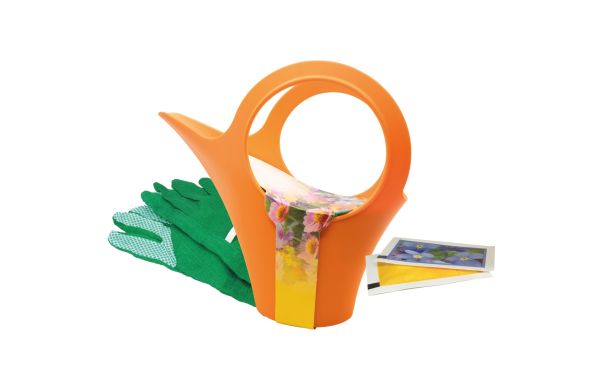 Camilla XS - Gartenfreude, Zwergsonnenblume, Vergissmeinnicht