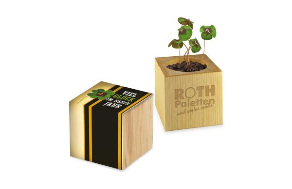 Bloempot hout - standaard motief - geluksklaver, 2 zijden lasergravure