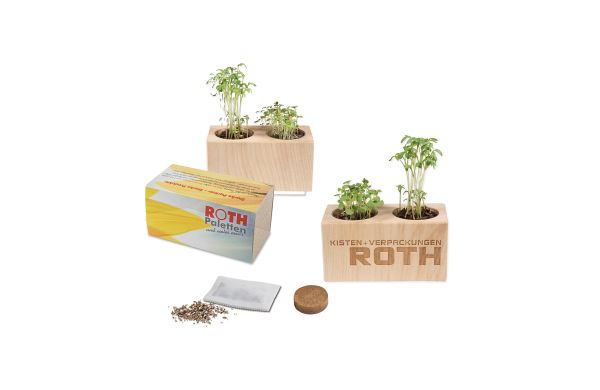 Plantenhouder hout set met 2 zaden
