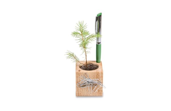 Plantenhouder offce Kerstmis met sparrenzaden