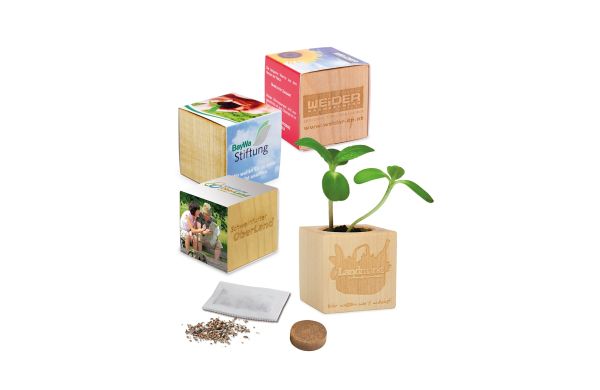 Houten pot met zaden
