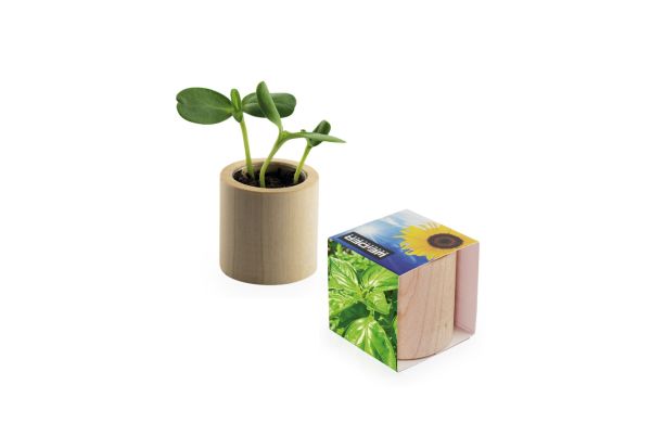 Houten bloempot met zaden, lasergravure rondom