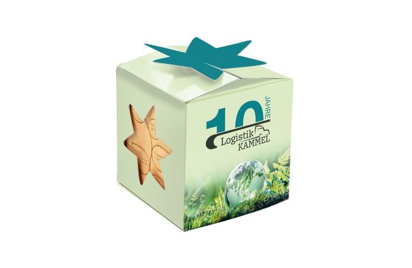 Plantenhouder van hout Star-Box Xmas met spar zaden