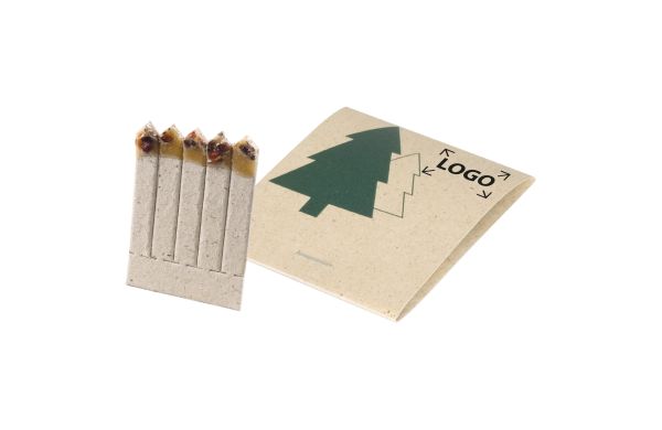 Pflanzsticks Fichte